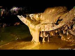 How It's Made - Canola Oil - YouTube